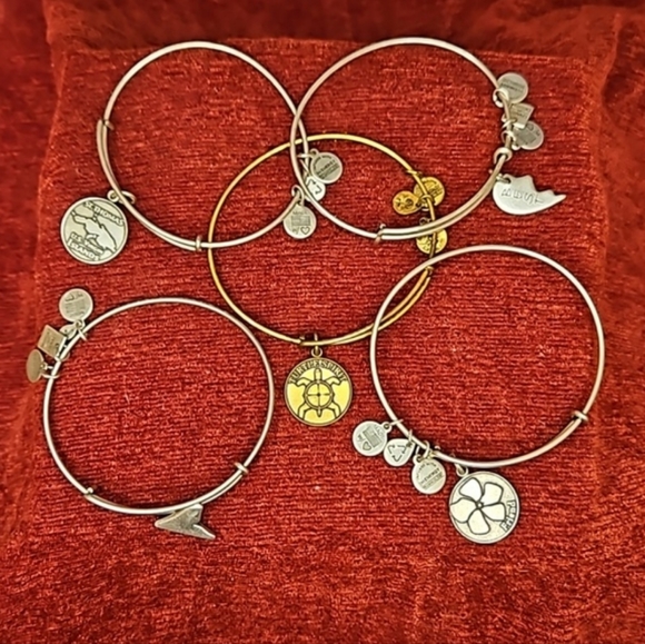 Alex and Ani Best Friends Rafaelian Silver Bangle Bracelet - Picture 6 of 6